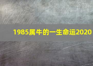 1985属牛的一生命运2020