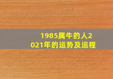 1985属牛的人2021年的运势及运程