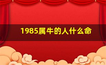 1985属牛的人什么命