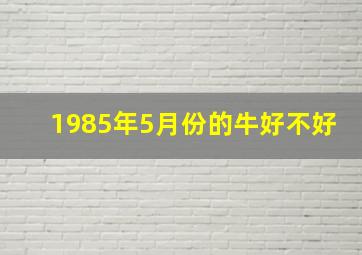 1985年5月份的牛好不好