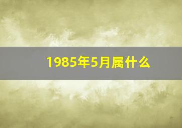 1985年5月属什么