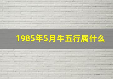 1985年5月牛五行属什么