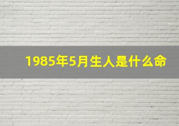 1985年5月生人是什么命