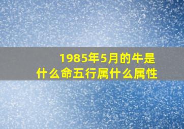 1985年5月的牛是什么命五行属什么属性