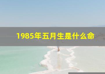 1985年五月生是什么命