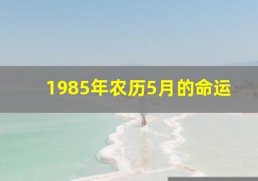 1985年农历5月的命运