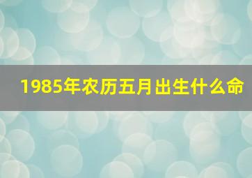 1985年农历五月出生什么命