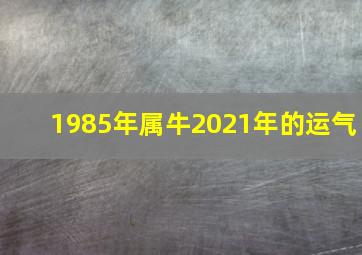 1985年属牛2021年的运气