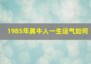 1985年属牛人一生运气如何