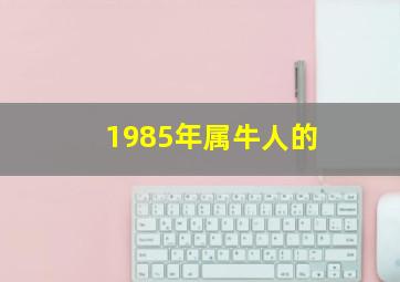 1985年属牛人的