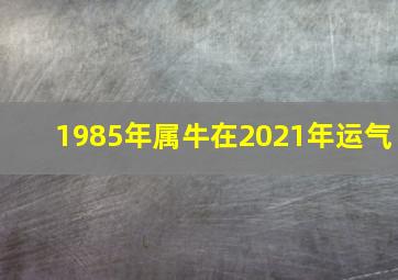 1985年属牛在2021年运气