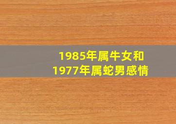 1985年属牛女和1977年属蛇男感情