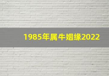 1985年属牛姻缘2022