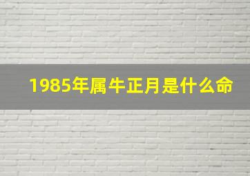 1985年属牛正月是什么命