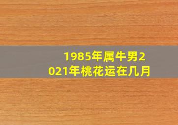 1985年属牛男2021年桃花运在几月