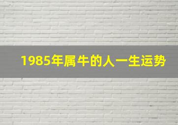 1985年属牛的人一生运势