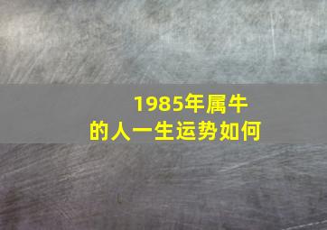 1985年属牛的人一生运势如何