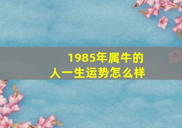 1985年属牛的人一生运势怎么样