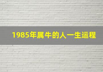 1985年属牛的人一生运程