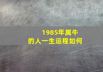 1985年属牛的人一生运程如何