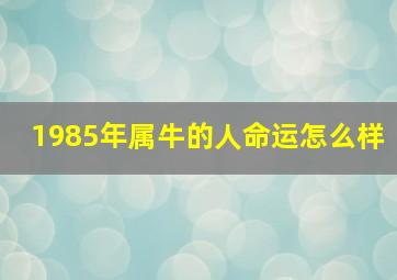 1985年属牛的人命运怎么样