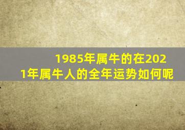 1985年属牛的在2021年属牛人的全年运势如何呢