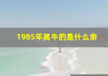 1985年属牛的是什么命