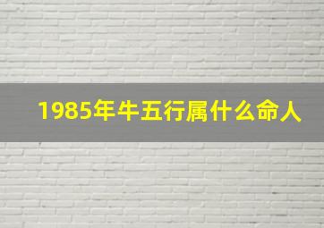 1985年牛五行属什么命人