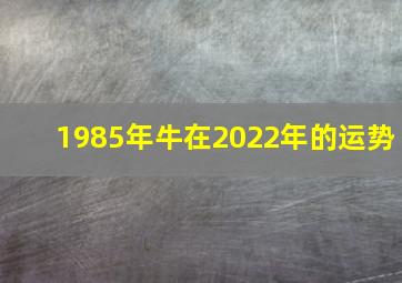 1985年牛在2022年的运势