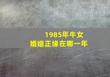 1985年牛女婚姻正缘在哪一年