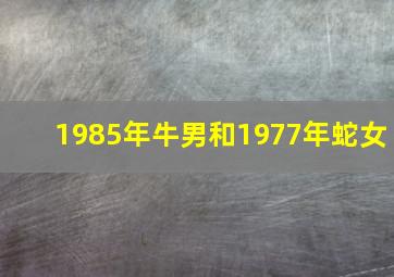 1985年牛男和1977年蛇女