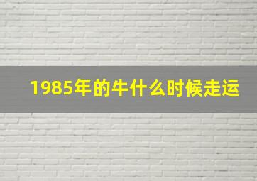 1985年的牛什么时候走运