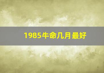 1985牛命几月最好