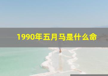 1990年五月马是什么命