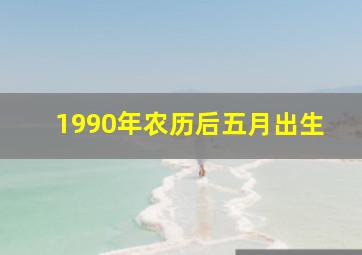 1990年农历后五月出生