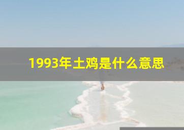 1993年土鸡是什么意思