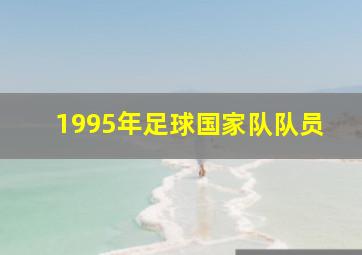 1995年足球国家队队员