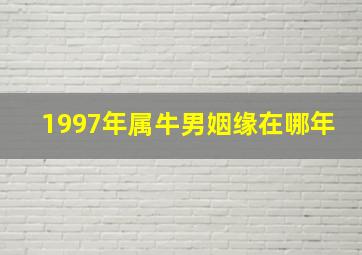 1997年属牛男姻缘在哪年