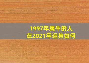 1997年属牛的人在2021年运势如何