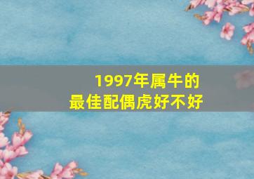 1997年属牛的最佳配偶虎好不好