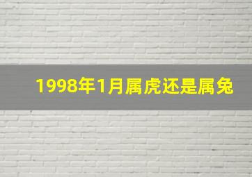 1998年1月属虎还是属兔