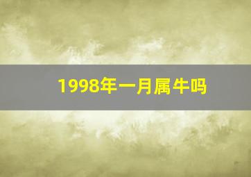 1998年一月属牛吗