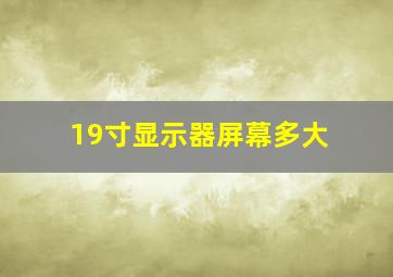 19寸显示器屏幕多大