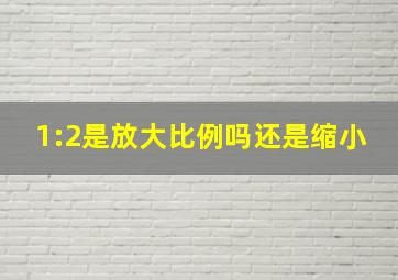 1:2是放大比例吗还是缩小