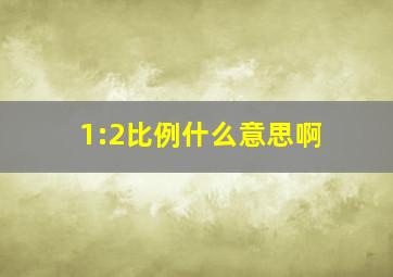 1:2比例什么意思啊