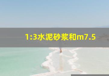 1:3水泥砂浆和m7.5