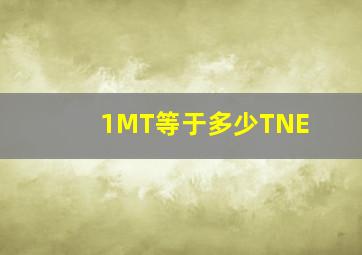 1MT等于多少TNE