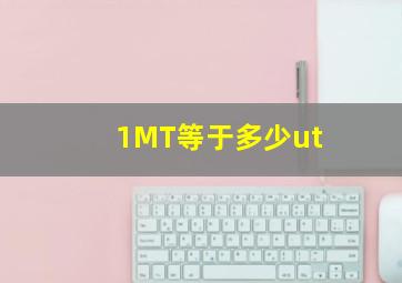 1MT等于多少ut