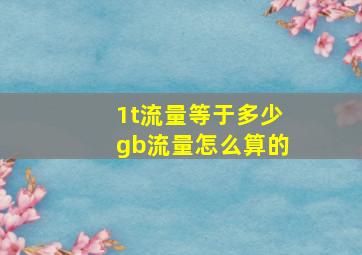 1t流量等于多少gb流量怎么算的