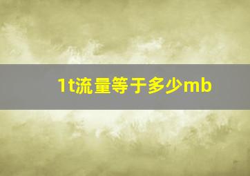 1t流量等于多少mb